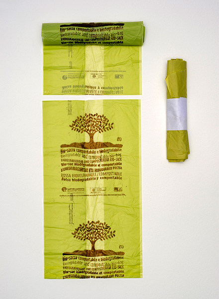 Custodia Loam & Lore Per IPhone 11, Biodegradabile E Compostabile, Con Design Foresta Amazzonica, Protezione Urti 1,5m, Menta